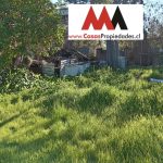 540239391_1408759496883679_5259904570388596337_n